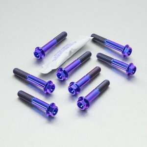 PRO BOLT v{g gbv  {g Nv [N s` Lbg XR400R DRZ400S HONDA z_ SUZUKI XYL ėp{gElW