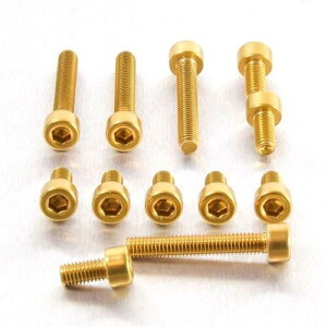 PRO BOLT �v���{���g �t���[�G�� �L���b�v �L�b�g 990 Adventure KTM �ėp�{���g�E�l�W