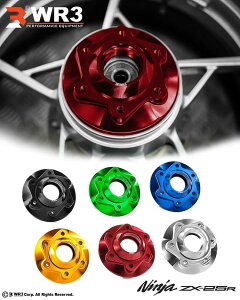 WR3 _uA[X[ XvPbgLA ZX-25R KAWASAKI JTL 쓮n J[FS[h