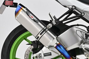 BEET �r�[�g NASSERT Evolution TypeII �t���G�L�]�[�X�g�}�t���[ Ninja ZX-6R KAWASAKI �J���T�L �}�t���[ �T�C�����T�[�J���[�F�N���A�`�^��