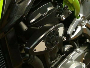 P&A International P&AC^[iVi NbVpbh Extreme X-Pad Z H2 KAWASAKI JTL GWXC_[Et[XC_[ t[