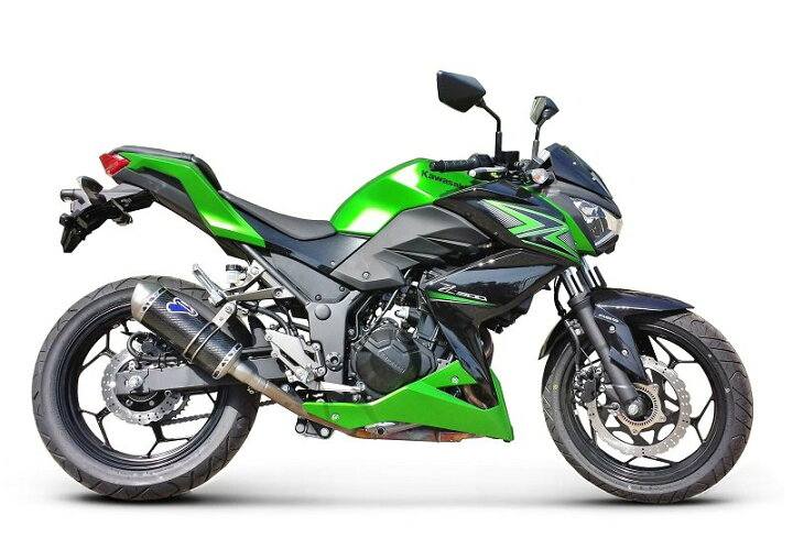楽天市場】TERMIGNONI テルミニョーニ スリップオンマフラー カーボン 
