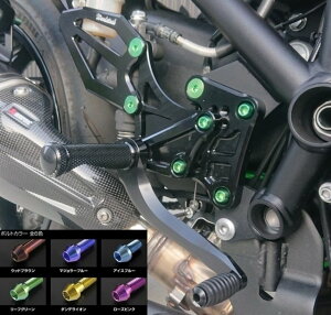 WOODSTOCK EbhXgbN obNXebvLbg Ninja H2 SX SE SE+ KAWASAKI JTL obNXebv Xebv  obNXebvJ[FI[ubN / `^jE{go[WF}W