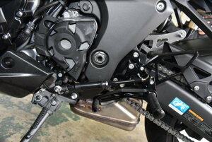 WOODSTOCK EbhXgbN t`FWLbg Ninja1000SX KAWASAKI JTL ̑XebvIvVECi Xebv 