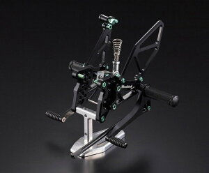 WOODSTOCK EbhXgbN obNXebv ZX-10R KAWASAKI JTL Xebv  `^jE{go[WF[tO[