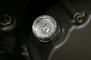 BABYFACE �x�r�[�t�F�C�X [IDEAL]�I�C���t�B���[�L���b�v 1199Panigale 848 Multistrada 1200 DIAVEL MONSTER1100EVO MONSTER796 MONSTER696 DUCATI �h�D�J�e�B �t�B���[�L���b�v �G���W���p�[�c �G���W��