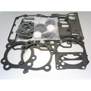 ALBA �A���o EST�c�C���J���n�C�p�t�H�[�}���X�K�X�P�b�g�L�b�g EST TWIN CAM HI-PERFORMANCE KITS 4 1|8 HARLEY-DAVIDSON �n�[���[�_�r�b�h�\�� �G���W���K�X�P�b�g �G���W���p�[�c �G���W��