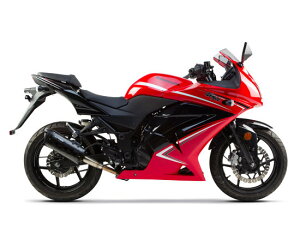 Two Brothers Racing c[uU[Y[VO V.A.L.E. XbvI}t[ M2`^TCT[ jW250R KAWASAKI JTL }t[