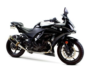 Two Brothers Racing c[uU[Y[VO V.A.L.E. tGL][Xg}t[ M2A~TCT[ jW250R KAWASAKI JTL }t[