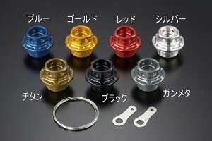 AGRAS AOX ICtB[LbvZbg XJR1200 YZF-R25 YZF-R6 YZF-R3 YZF-R7 YAMAHA }n tB[Lbv GWp[c GW
