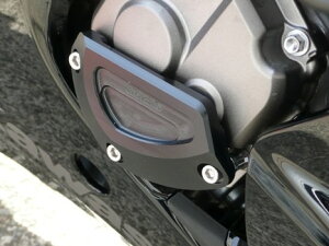 AGRAS AOX [VOXC_[ 3_Zbg EB ZX-10R KAWASAKI JTL GWXC_[Et[XC_[ t[ WRJ[FubN (SL)