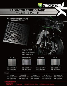 TRICKSTAR gbNX^[ WG^[RAK[h S1000RR S1000R S1000XR BMW WG[^[RAK[hEICN[[RAK[h p֘A GW