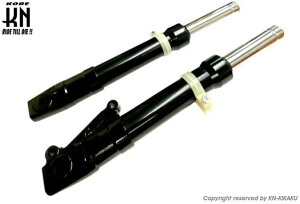 KN PCGkLJN tgtH[N DIO-SP DIO-SR X[p[fBISR X[p[fBIZX CufBIZX HONDA z_ TXyV 