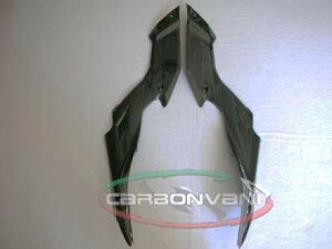 CARBONVANI J[{o[j ^NTChJo[ STREETFIGHTER [Xg[gt@C^[] DUCATI hDJeB TChJEETChJo[ JE֘A O