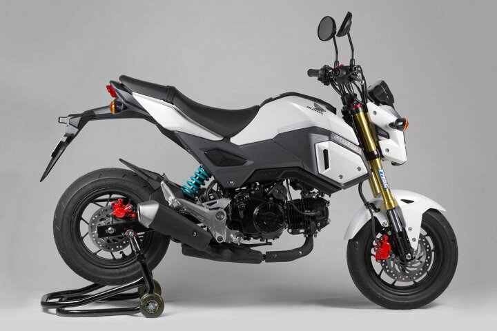 楽天市場】NITRON ナイトロン リアサスペンションミニショック MINI R1 