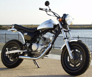 BIG CEDAR rbOV[_[ eBAhbvA~^N APE100 [GCv] APE50 HONDA z_ K\^N ^N֘A O