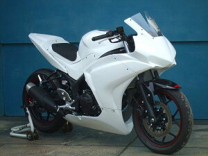 CLEVER WOLF �N���o�[�E���t �t���J�E�� YZF-R25 YAMAHA ���}�n �t���J�E���E�O���Z�b�g �J�E���֘A �O��