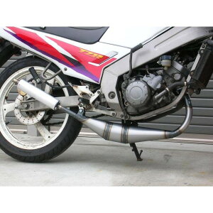 MIZUNO MOTOR ミズノモーター 【ゼス】TZR125用 オリジナル チャンバー TZR125 YAMAHA ヤマハ マフラー
