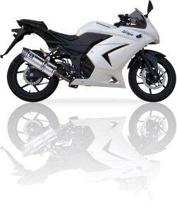 IXIL CNV SOVE-I[o^Cv}t[ NINJA 250 R EK250K KAWASAKI JTL XbvI}t[ }t[