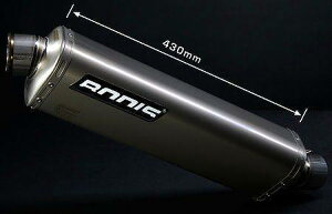 BODIS �{�f�B�X �X���b�v�I���}�t���[ �X�e�����X/�t���`�^�� Three-Tec G ZX-10R KAWASAKI �J���T�L �}�t���[