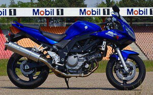 BODIS {fBX XbvI}t[ t`^ Oval 1OK G SV650 GLADIUS650 [OfBEX] SUZUKI XYL }t[