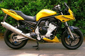 BODIS {fBX XbvI}t[ XeX Oval 1OK G FZS1000 FAZER [tFU[] YAMAHA }n }t[