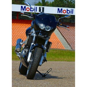 BODIS {fBX tGL][XgVXe 2-1 XeX Oval 1MK G SV1000 SV1000S SUZUKI XYL tGL][Xg}t[ }t[