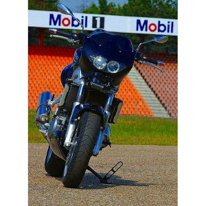 BODIS {fBX tGL][XgVXe 2-1 t`^ Oval 1MK G SV1000 SV1000S SUZUKI XYL tGL][Xg}t[ }t[