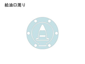 ECHELON �G�V������ ����������yQUATECT�z �����e�B�X�g���[�_V4S DUCATI �h�D�J�e�B �v���e�N�V�����t�B�����E�ی�t�B���� �O��