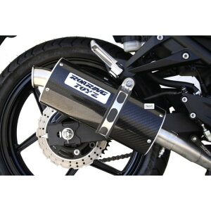 ROARING TOYZ AOgCY J[{TCT[tGL][Xg NINJA250R mjWn KAWASAKI JTL tGL][Xg}t[ }t[