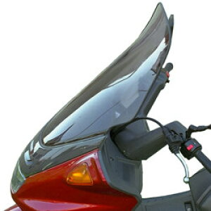 SECDEM ZNf nCveNVEEChV[h MAJESTY250 [}WFXeB] YAMAHA }n XN[ O