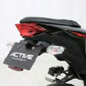 ACTIVE ANeBu tF_[XLbg LEDio[t Ninja250 Z250 KAWASAKI JTL tF_[֘A O