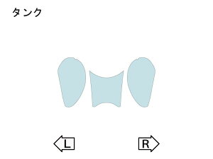 ECHELON GV ^NyQUATECTz GXg KAWASAKI JTL veNVtBEیtB O