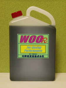 ~wƎ GWVRE WOO R(E[A[) 2TCN\GWIC 2TCNIC IC