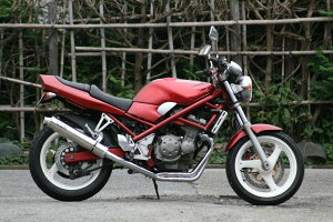 RPM A[s[G NEW-RPM4in2in1tGL][Xg}t[ ofBbg250 SUZUKI XYL tGL][Xg}t[ }t[