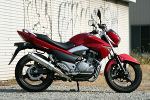 Realize ACY AA XbvI}t[ GSR250 SUZUKI XYL }t[ TCT[GhFXbVGh
