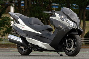 EIGHT(˒J) GCg(TC^j) tFCX}XN XJCEFCu250 SUZUKI XYL Abp[JEEtgJE JE֘A O