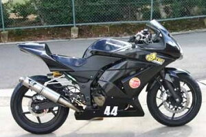 KDCT[rX PCfB[V[T[rX tJE NINJA250 R KAWASAKI JTL tJEEOZbg JE֘A O
