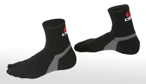 DFG fB[GtW[ [VO^r\bNX V[g^Cv \bNXEC tbgEFA