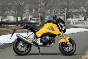 RPM A[s[G 80D-RAPTORtGL][Xg}t[ O HONDA z_ tGL][Xg}t[ }t[