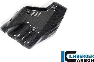 ILMBERGER Co[K[ GL][XgveNV OX Diavel V4 DUCATI hDJeB }t[K[hEq[gK[h }t[