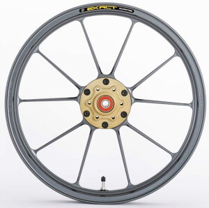 ADVANTAGE Ahoe[W EXACT [COUNg] II RACING 10 tbA~zC[ GSX-R1100 SUZUKI XYL zC[ zC[֘A 