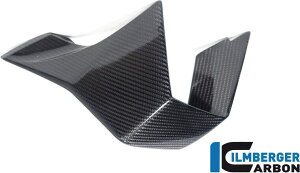 ILMBERGER Co[K[ ECObg M1000RR BMW X|C[EECO O