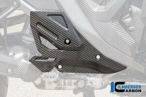 ILMBERGER Co[K[ Eƕی }bgJ[{ R1300GS BMW }t[K[hEq[gK[h }t[