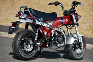 BEAMS r[X R-EVO TYPE C {F DAX125 HONDA z_ tGL][Xg}t[ }t[ TCT[^CvFXeXTCT[^dʁF3.0kgy5.4kgz