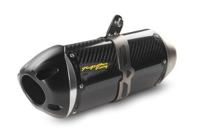 Two Brothers Racing c[uU[Y[VO XbvI}t[ S1R J[{TCT[ Ninja 650 KAWASAKI JTL }t[