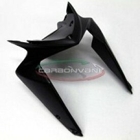 CARBONVANI カーボンバーニ フロントフェンダー RIVALE800 [リヴァーレ] MV AGUSTA アグスタ フェンダー関連 外装