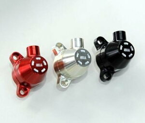 AELLA AG A~Nb`[YV_[EVO Diavel Xdiavel DUCATI hDJeB Nb`[Y 쓮n TCYF30 / J[FVpS[h