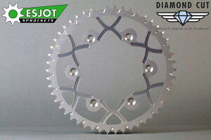 Esjot GXbg X-Wing [GbNXEBO] It[hpAXvPbg 520 SX EXC Racing KTM huXvPbgEAXvPbg 쓮n F52 / J[FVo[