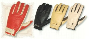 CLEVER No[ U[O[u V[g^Cv fB[X O[u Ap